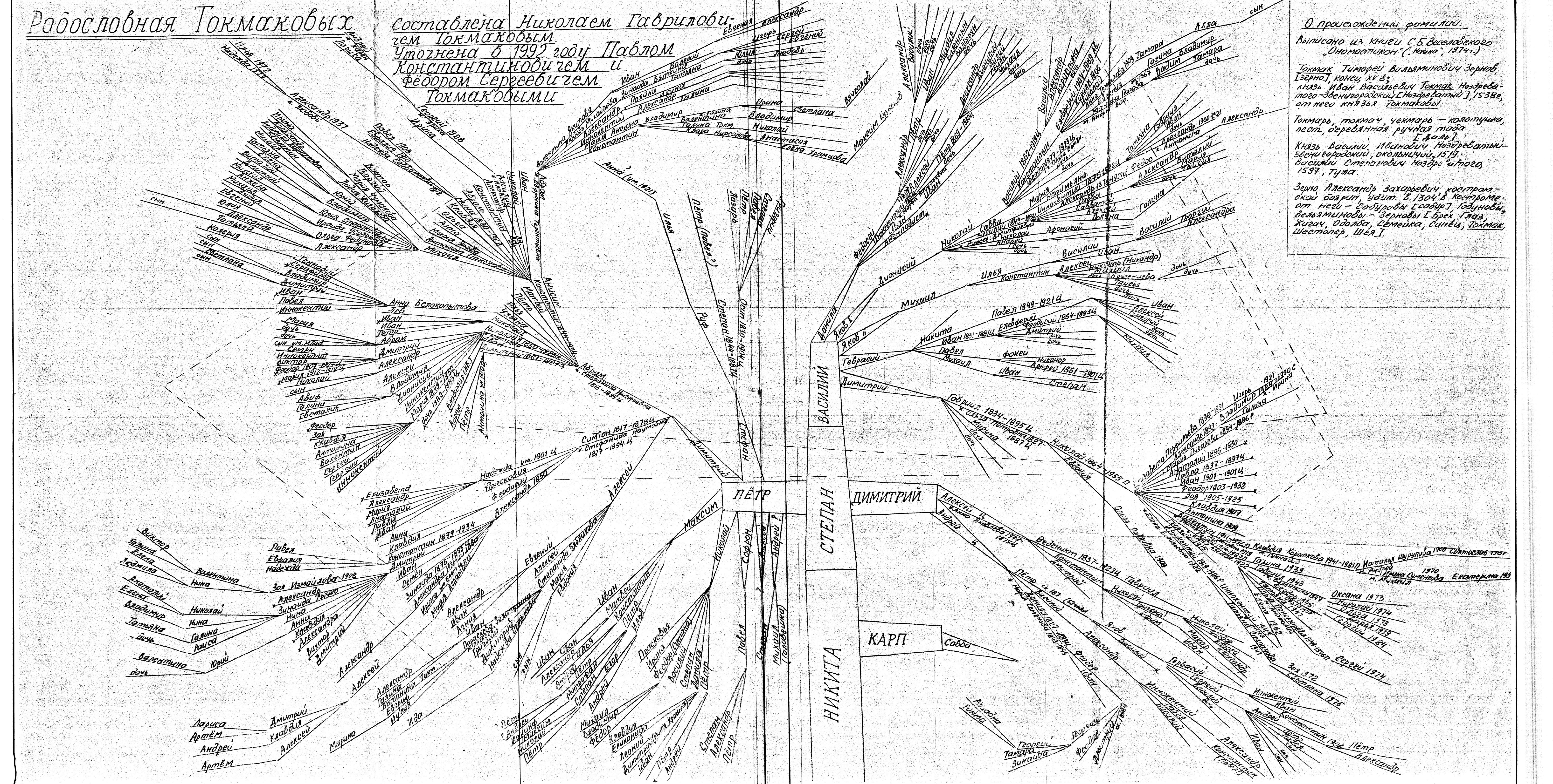 Complete scan of the original hand-drawn Tokmakov genealogy sheet